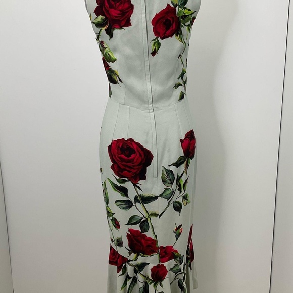 NWT Dolce & Gabbana Dress Mint Green and Red Roses - Picture 5 of 13